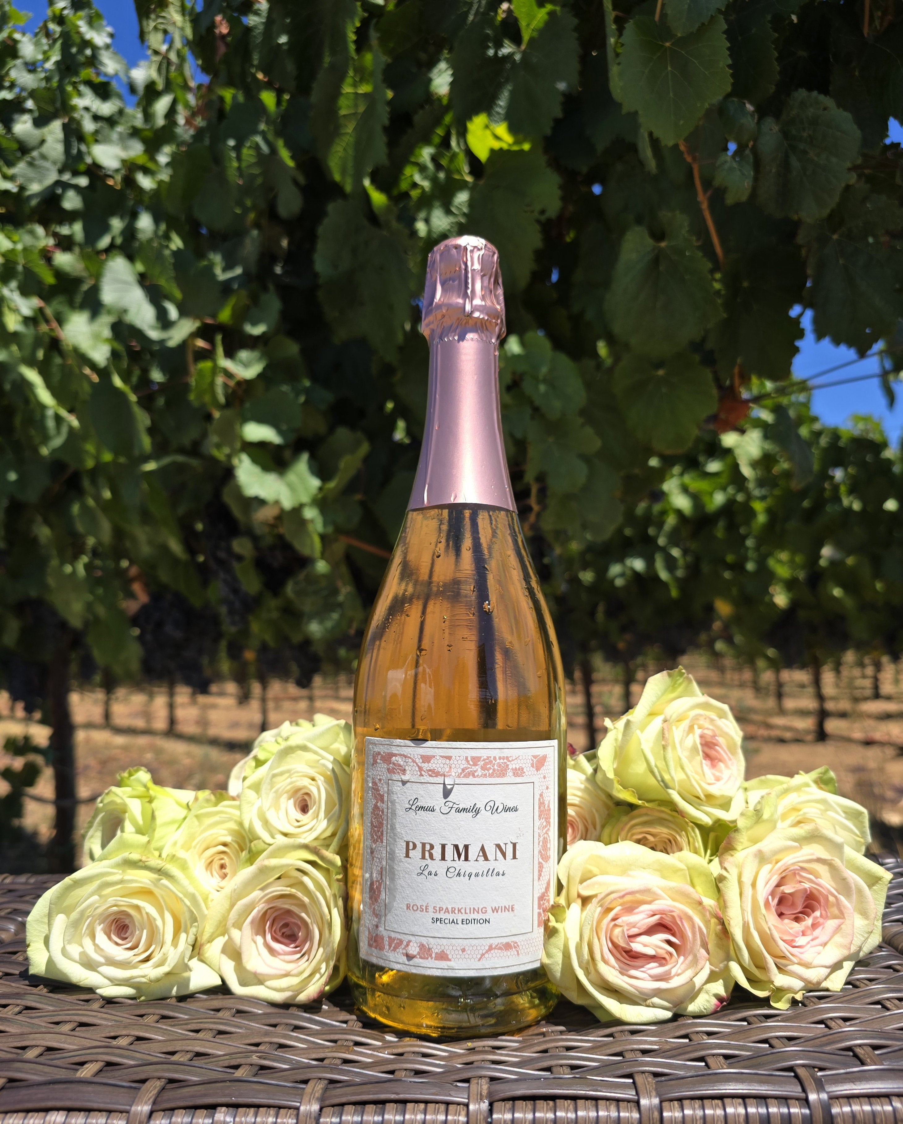 2021 Primani Rosé Sparkling Wine | Lemus Family Wines