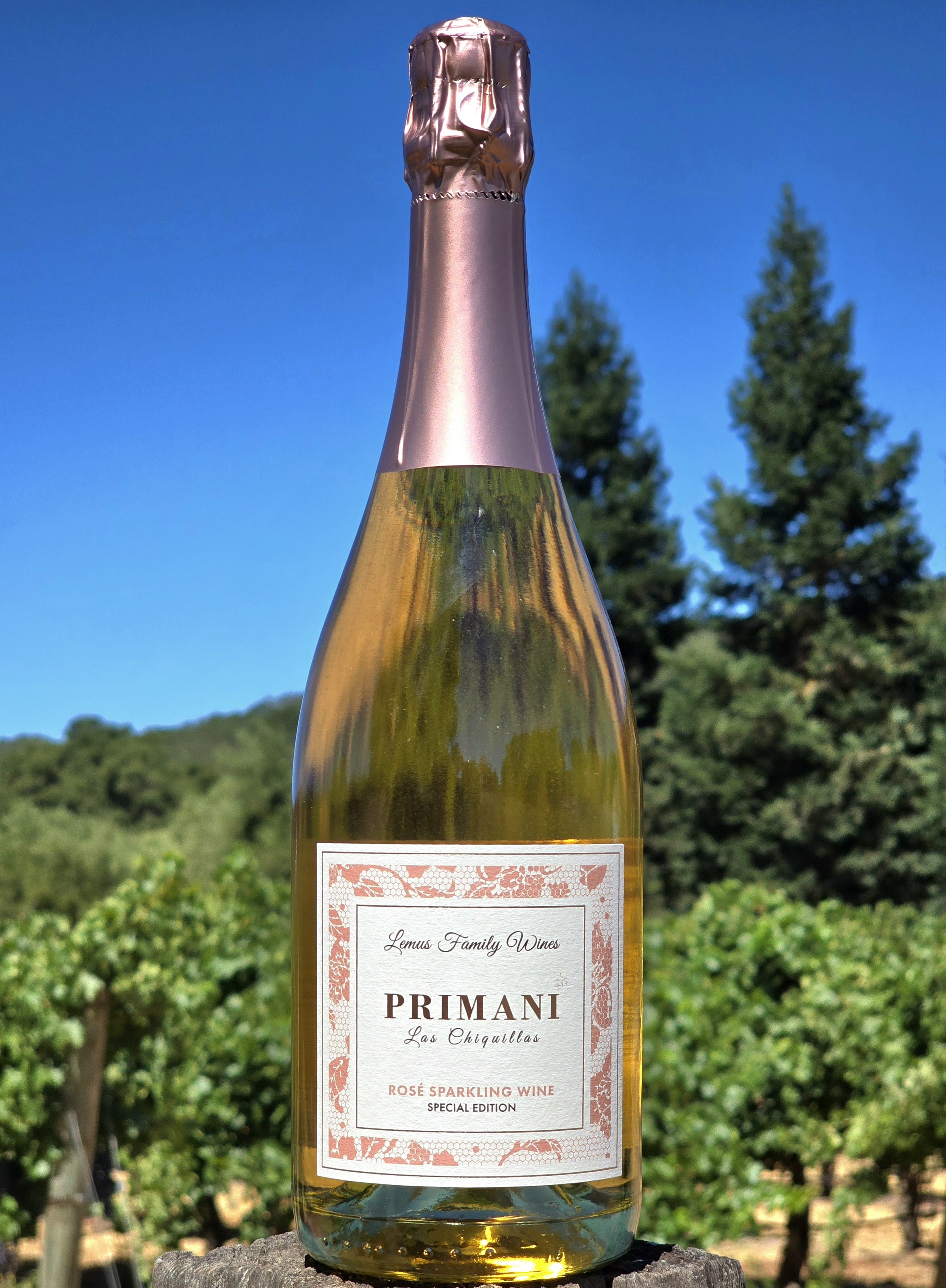 2021 Primani Rosé Sparkling Wine | Lemus Family Wines